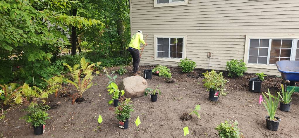 Water-efficient xeriscaping solutions